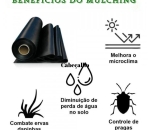 Lona Mulching Cobertura de Solo Preto/Branco 