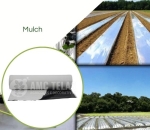 Lona Mulching Cobertura de Solo Preto/Prata