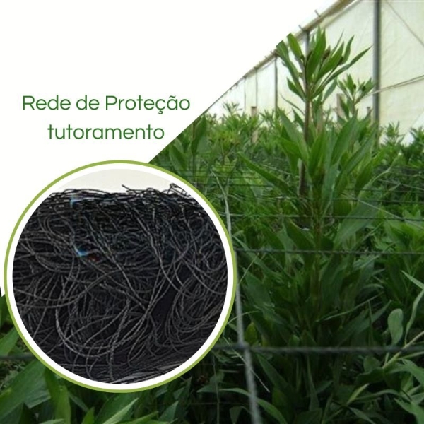 Rede de Proteção Tutoramento