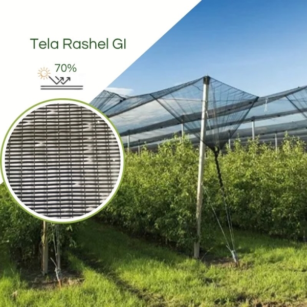 Tela de Sombreamento GI 70% 