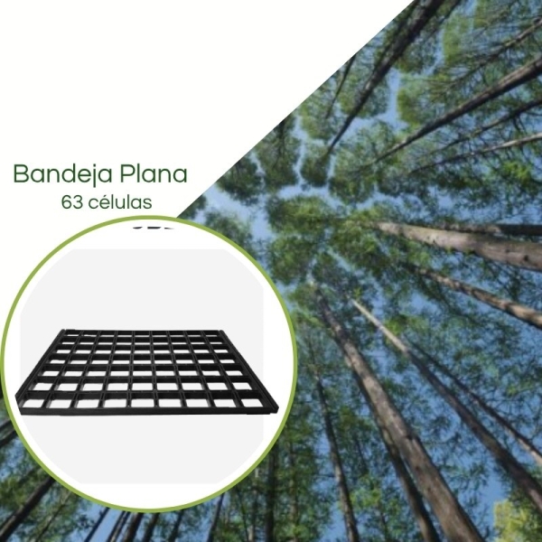 Porta Tubetes 63/180 e 280 ml JKS - Kit 10 peças