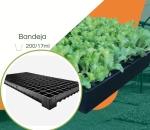 Bandeja 200/18ml para Mudas JKS Rígida - Kit 10 pçs