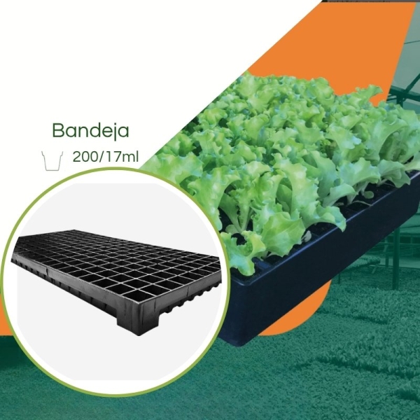 Bandeja 200/18ml para Mudas JKS Rígida - Kit 10 pçs