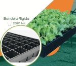 Bandeja 288/11ml  Plástica para Mudas JKS Rígida - Kit 10 peças