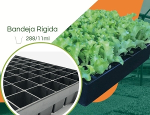 Bandeja 288/11ml  Plástica para Mudas JKS Rígida - Kit 10 peças