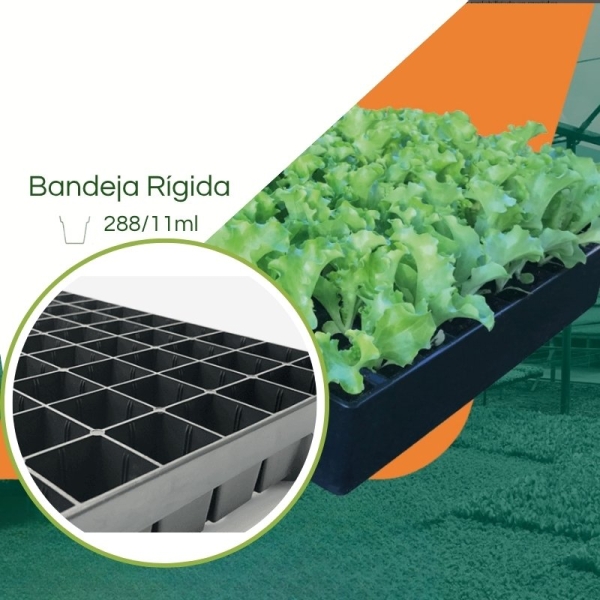 Bandeja 288/11ml  Plástica para Mudas JKS Rígida - Kit 10 peças