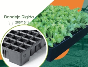 Bandeja 288/15ml para Mudas JKS Rígida - Kit 10 peças