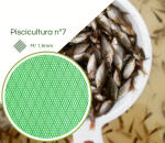 Tela Piscicultura Criação Alevinos N° 07 