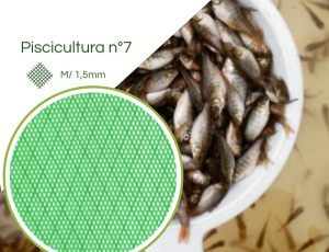 Tela Piscicultura Criação Alevinos N° 07 