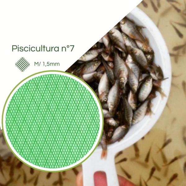 Tela Piscicultura Criação Alevinos N° 07 