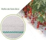 RAFIA Solo Polipropileno 125g/m2 branca - 3,20