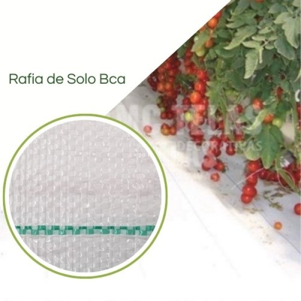 RAFIA Solo Polipropileno 125g/m2 branca - 3,20