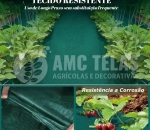 RAFIA de Solo 100g/m2 PT/VD