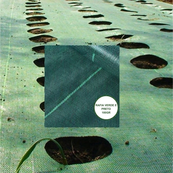 RAFIA de Solo 100g/m2 PT/VD