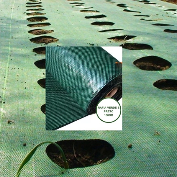 RAFIA de Solo 100g/m2 PT/VD