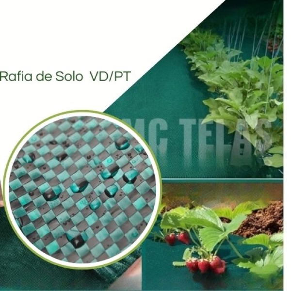 RAFIA de Solo 100g/m2 PT/VD