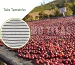 Tela Terreiro Suspenso