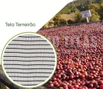 Tela Terreiro Suspenso