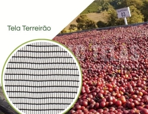 Tela Terreiro Suspenso