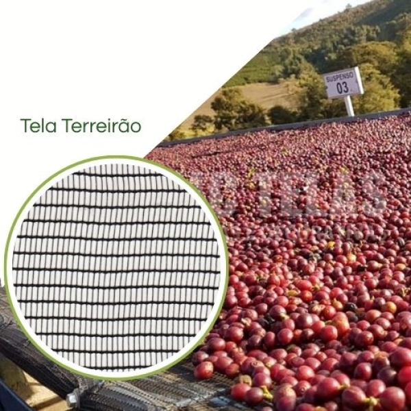 Tela Terreiro Suspenso