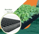 Bandeja 450/11ml para Mudas JKS Rígida - Kit 10 peças