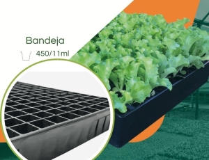 Bandeja 450/11ml para Mudas JKS Rígida - Kit 10 peças