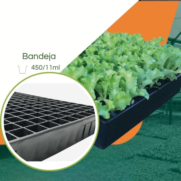 Bandeja 450/11ml para Mudas JKS Rígida - Kit 10 peças