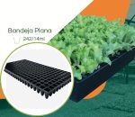 Bandeja 242/14ml  para Mudas JKS - Kit 10 peças