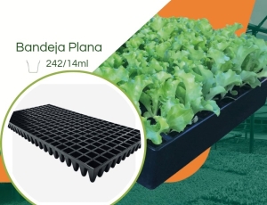 Bandeja 242/14ml  para Mudas JKS - Kit 10 peças