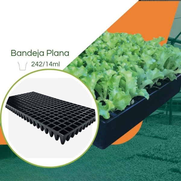 Bandeja 242/14ml  para Mudas JKS - Kit 10 peças