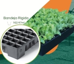 Bandeja 162/31ml para Mudas JKS Rígida - Kit 10 peças