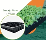 Bandeja 162/50ml  para Mudas JKS Rígida  - Kit 10 peças