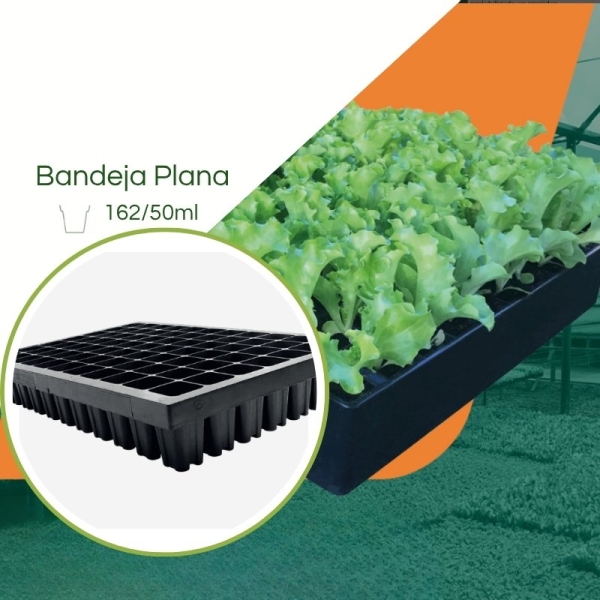 Bandeja 162/50ml  para Mudas JKS Rígida  - Kit 10 peças