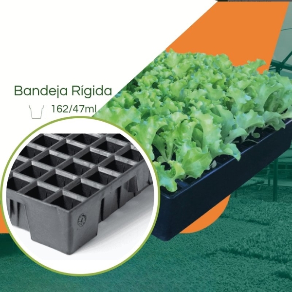 Bandeja 162/47ml para Mudas  JKS Rígida - Kit 10 peças