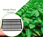 Bandeja Plana 63 células - P/ TB 115/180/190/280 ML - Kit 10 peças