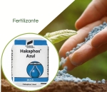 Fertilizante Hakaphos Azul 20-05-05 + micros Compo 25Kg