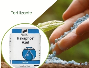 Fertilizante Hakaphos Azul 20-05-05 + micros Compo 25Kg