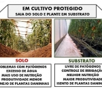 Substrato para Planta Multiplant Ornamentais 1051/3010  25kg