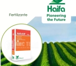 Fertilizante HAIFA SOP 00-00-51 - Saco 25kg