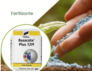 Fertilizante Liberação controlada  Basacote Plus 9M 16-8-12  SC 25KG COMPO 