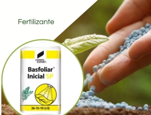 Basacote® Plus 12M 15-8-12(+2) - 25kg