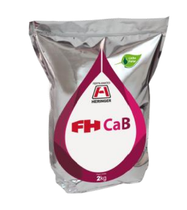 Heringer - FH Cab - Embalagem 02 Kg