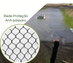 Rede anti passaros Piscicultura sem nó