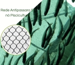 Rede anti passaros Piscicultura sem nó