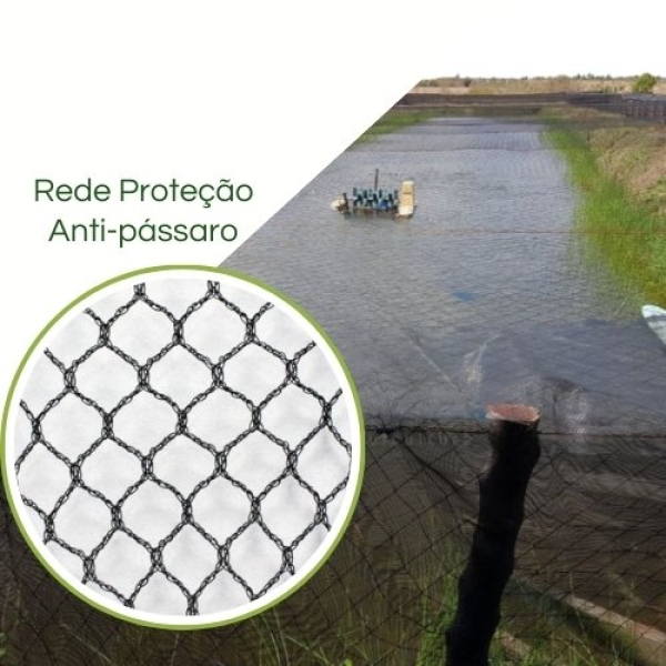 Rede anti passaros Piscicultura sem nó