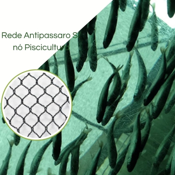Rede anti passaros Piscicultura sem nó