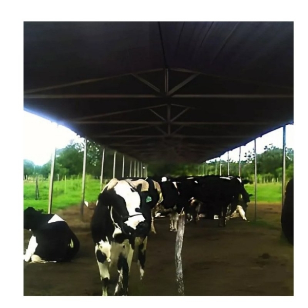  RAFIA Solo Polipropileno 105g/m2 Carijó  Refletiva - 4,20