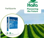 Fertilizante HAIFA Nitrato de Mangésio MAG 25KG