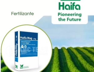 Fertilizante HAIFA Nitrato de Mangésio MAG 25KG