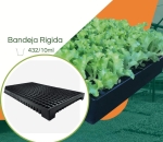 Bandeja  432/10 ml - Kit 10 pç